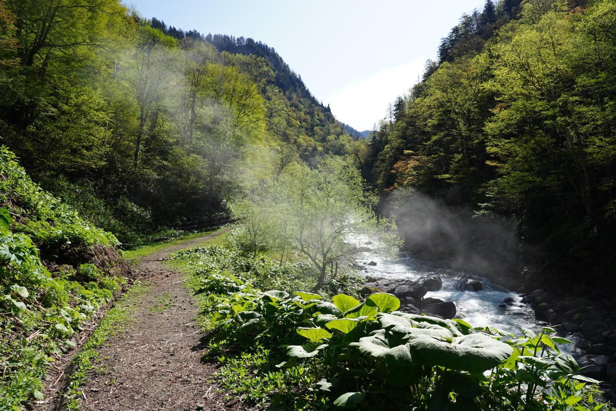 Shikishimaso Hotel Higashikawa Екстериор снимка